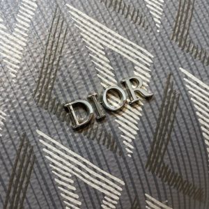  Dior Lingot 22 Bag - DM10