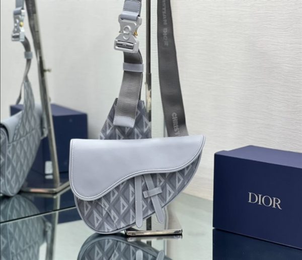 Dior Saddle Bags - DM05