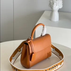 Louis Vuitton Cluny Mini Bag - LH13