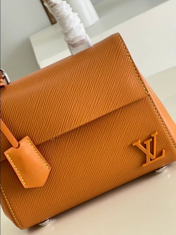 Louis Vuitton Cluny Mini Bag - LH13