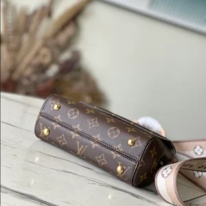 Louis Vuitton Cluny Mini Bag - LH16