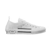 Dior B23 Low-Top Sneaker In White - DS23