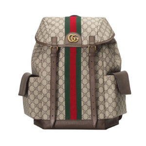 Gucci Ophidia GG Medium Backpack - GP02