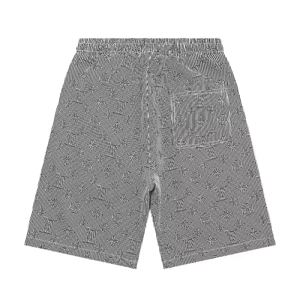 Louis Vuitton Swim Shorts - SSL03