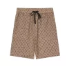 Louis Vuitton Swim Shorts - SSL10