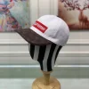 Louis Vuitton Cap - LCH30