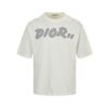 Dior T-shirt - DT10