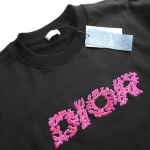 Dior Sweatshirt - HD14