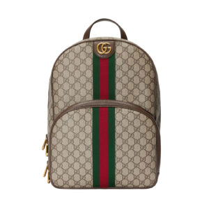 Gucci Ophidia Backpack - GP06